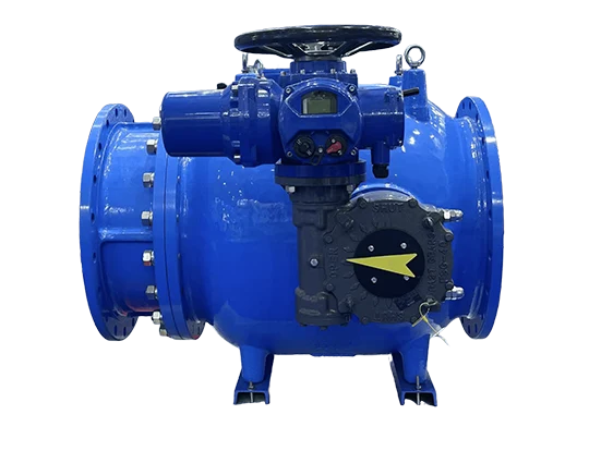 Bagaimana injap semak benar -benar menghalang tukul air dalam sistem paip anda